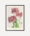 Pstr Studio Unframed Ogawa Kazumasa Pink Print In Assorted