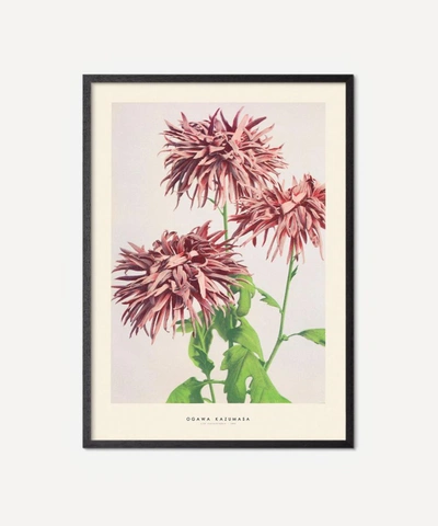 Pstr Studio Unframed Ogawa Kazumasa Pink Print In Assorted