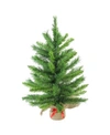 Northlight 24" Mixed Kateson Fir Artificial Christmas Tree In Burlap Base In Green