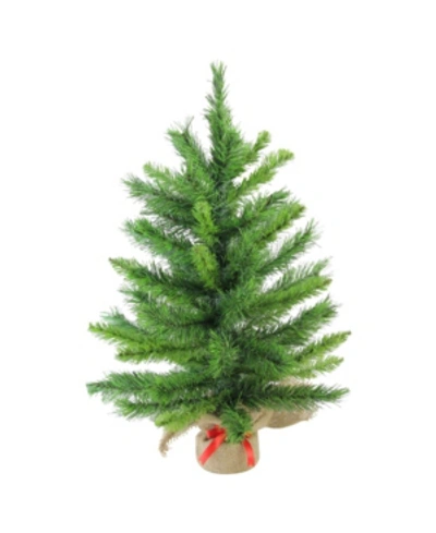 Northlight 24" Mixed Kateson Fir Artificial Christmas Tree In Burlap Base In Green