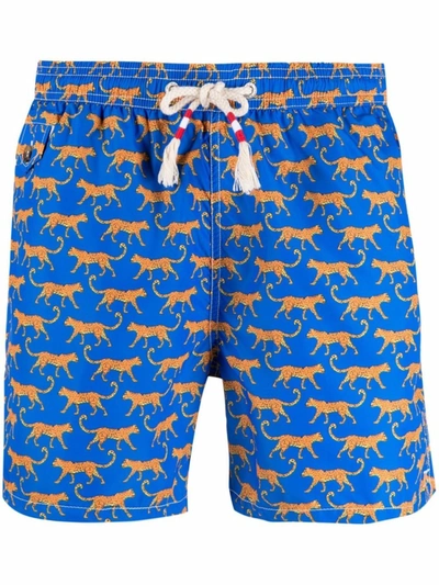 Mc2 Saint Barth Blue Walking Leopard Swim Shorts