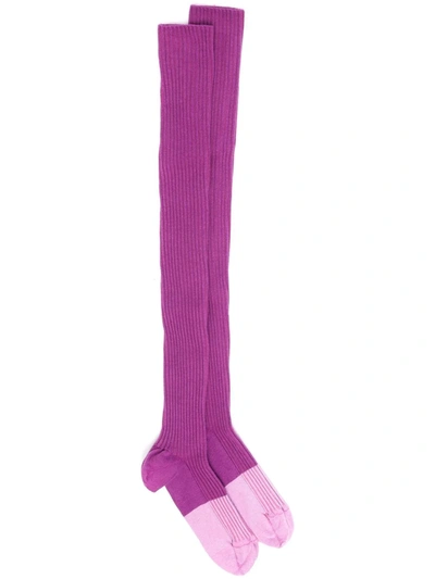 Patou Ribbed-knit Knee-high Socks In 紫色