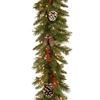 National Tree Company 9' X 10" Frosted Berry Garland With 100 Clear Lights In Green