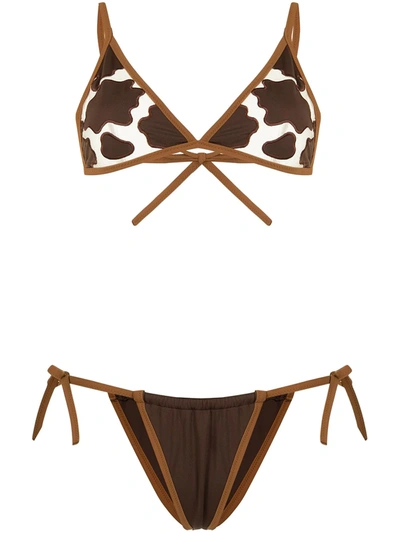 Sian Swimwear Skye Cow-pattern Bikini In Brown