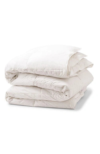 Allied Home All Season Down Comforter In White