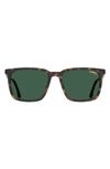 Carrera Eyewear 55mm Polarized Rectangle Sunglasses In Dark Havana/ Green