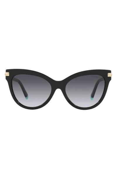 Tiffany & Co Tiffany 55mm Cat Eye Sunglasses In Grey Gradient