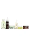 YOUTH TO THE PEOPLE THE YOUTH SYSTEMS TRAVEL SIZE SKIN CARE SET,K919