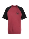 RAF SIMONS VIRGINIA CREEPER 双色T恤,16372163