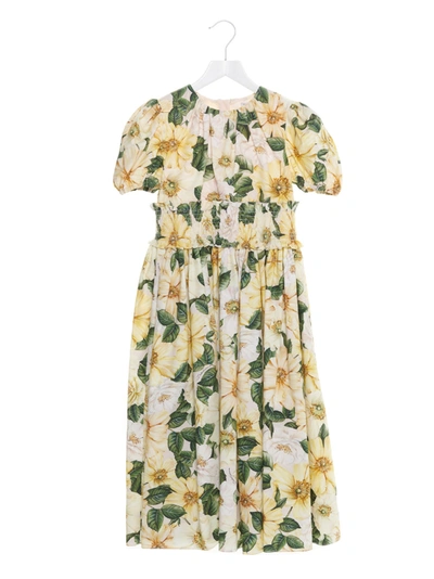 Dolce & Gabbana Kids' Camelia Print Cotton Poplin Dress In Camelie Giall F.rosa