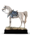 Lladrò High Porcelain Arabian Pure Breed Horse Sculpture