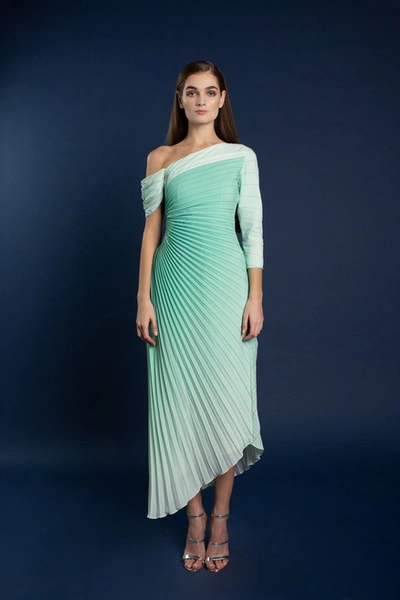 Anaya Kasha Asymmetrical Ombre Pleated Dress