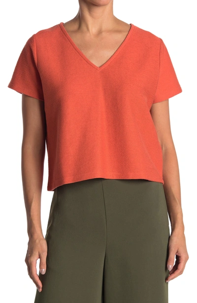 Madewell Texture & Thread Sam V-neck Tee In Rusted Clay