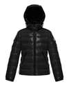 Moncler New Maya Down-filled Padded Jacket In 032 White