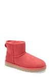 Ugg (r)  Classic Mini Ii Genuine Shearling Lined Boot In Hibiscus Pink
