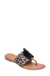 Andre Assous Novalee Sandal In Leopard Print Fabric