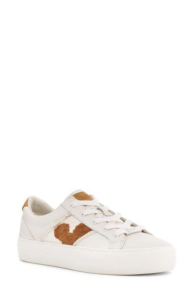 Ugg (r) Dinale Sneaker In White / Mesa / Sand Leather