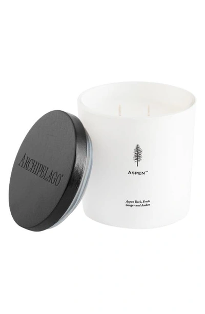 Archipelago Botanicals Luxe Candle In Aspen