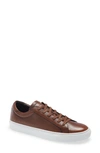 To Boot New York Sierra Sneaker In Cognace