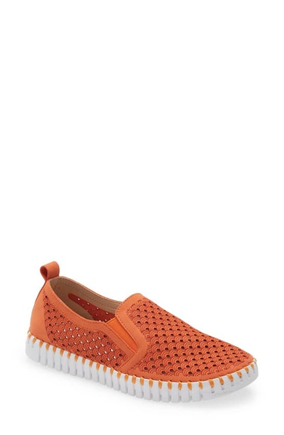 Ilse Jacobsen Tulip Slip-on Trainer In Orange