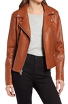 Levi's Faux Leather Moto Jacket In Dark Camel