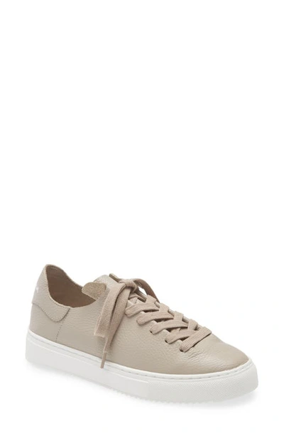 Sam Edelman Poppy Sneaker In Mink Grey