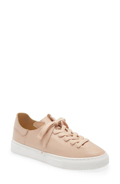 Sam Edelman Poppy Sneaker In Warm Ecru