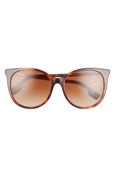 Burberry 55mm Gradient Cat Eye Sunglasses In Light Havana/ Brown Gradient