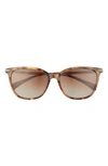 Rag & Bone 55mm Polarized Cat Eye Sunglasses In Gold Havana/ Brown Gradient