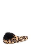 Tan Leopard