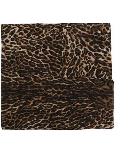 Ralph Lauren Leopard-print Cashmere Scarf In Black