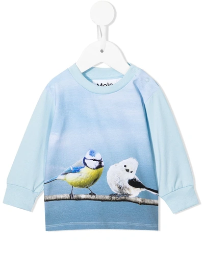 Molo Babies' Botanical-print Cotton Sweatshirt In Blue