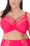 Elomi Sachi Full Figure Underwire Plunge Bra