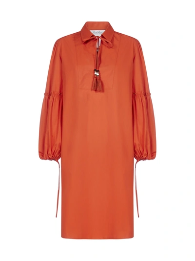 Max Mara Fedora Cotton Tunic Dress In Orange