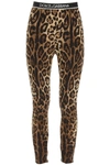 Dolce & Gabbana Leopard Print Silk Stretch Charmeuse Crop Leggings In Leo New (brown)