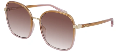 Chloé Ch0031s 002 Square Sunglasses In Orange