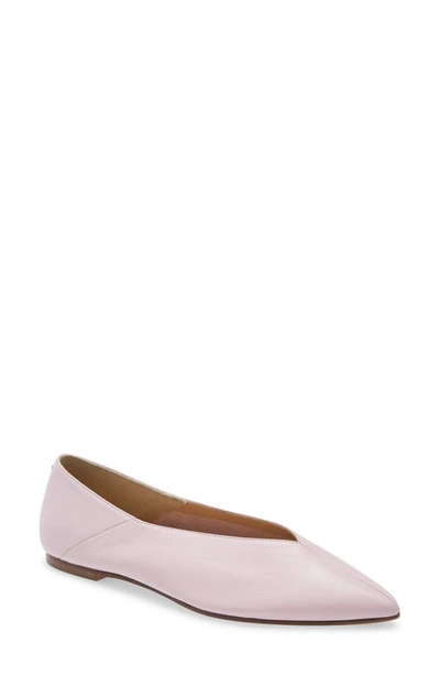 Aeyde Pointed Ballerina Shoes In Petal Pink