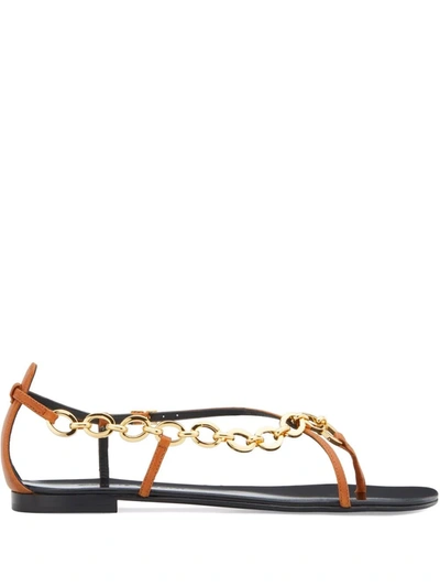 Giuseppe Zanotti Krabi Chain-link Leather Sandals In Braun