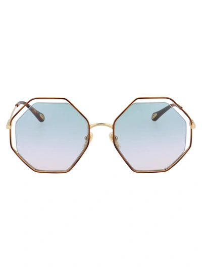 Chloé Ch0046s Sunglasses In Brown