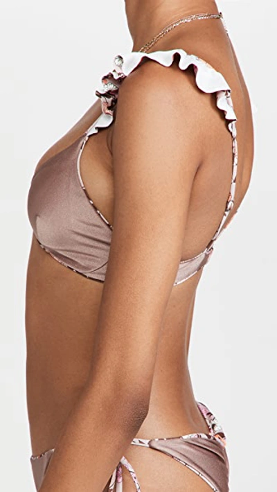 Maaji Ditsy Halles Reversible Bikini Top In Brown