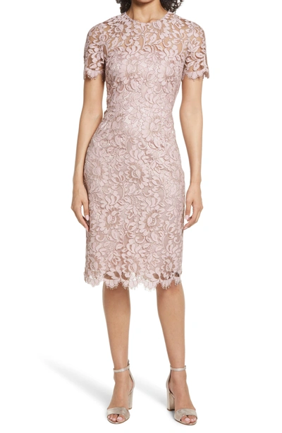 Eliza J Embroidered Lace Overlay Cocktail Dress In Blush