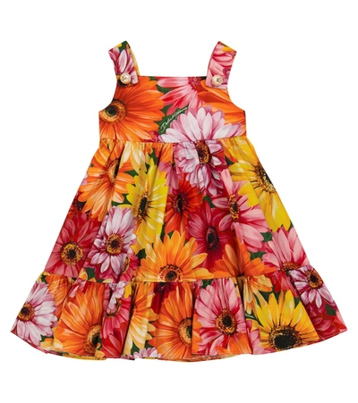 Dolce & Gabbana Baby Floral Cotton Poplin Dress With Bloomers In Green