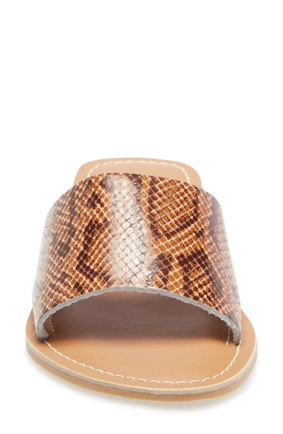 Beach By Matisse Cabana Slide Sandal In Brown Snake Print Leather