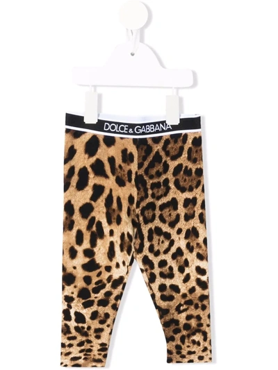 Dolce & Gabbana Baby Leopard-print Stretch-cotton Leggings In Brown