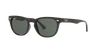 Ray Ban Ray In Green