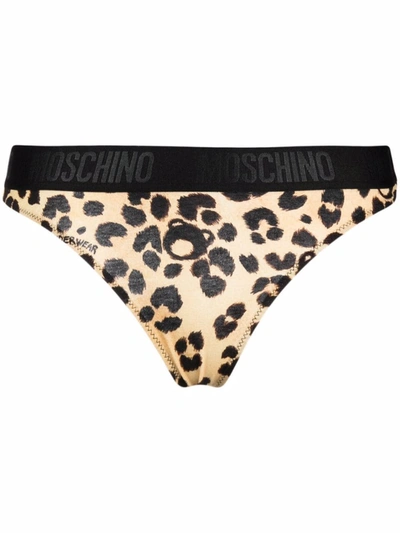 Moschino All-over Teddy Leo Stretch Thong In Beige