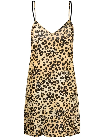 Moschino Teddy-print Leopard Nightdress In Neutrals