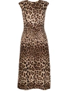 Dolce & Gabbana Leopard-print Wool-crepe Midi Dress In Braun