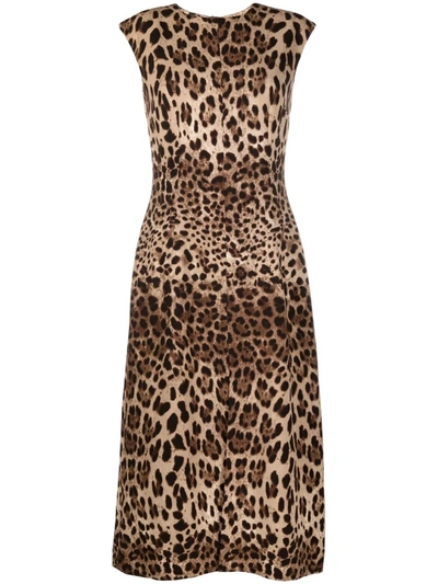 Dolce & Gabbana Leopard-print Wool-crepe Midi Dress In Lghbrowprt