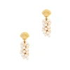 KENNETH JAY LANE SHELL FAUX PEARL AND GOLD-TONE DROP EARRINGS,4081175